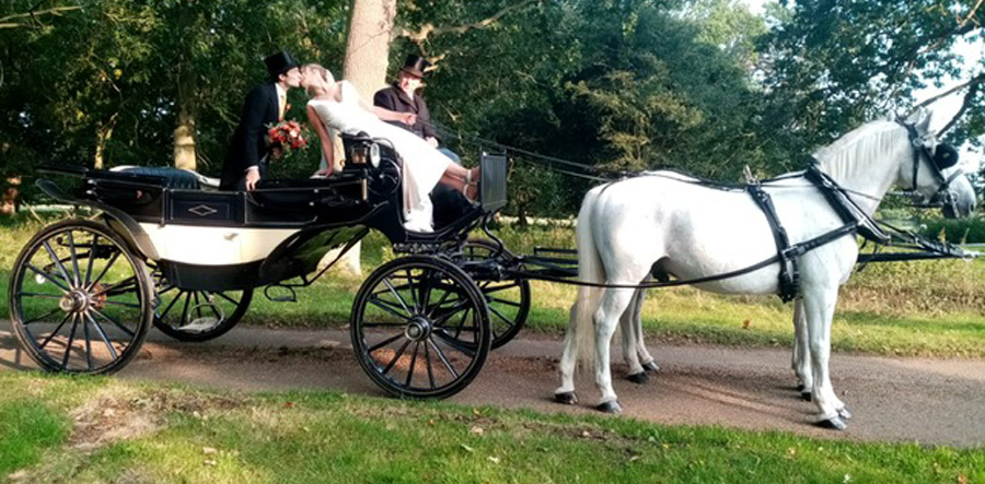 Wedding horse and carriage